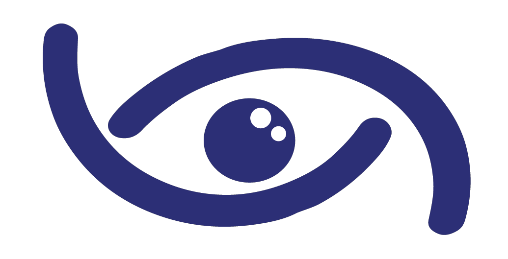 Vision Icon